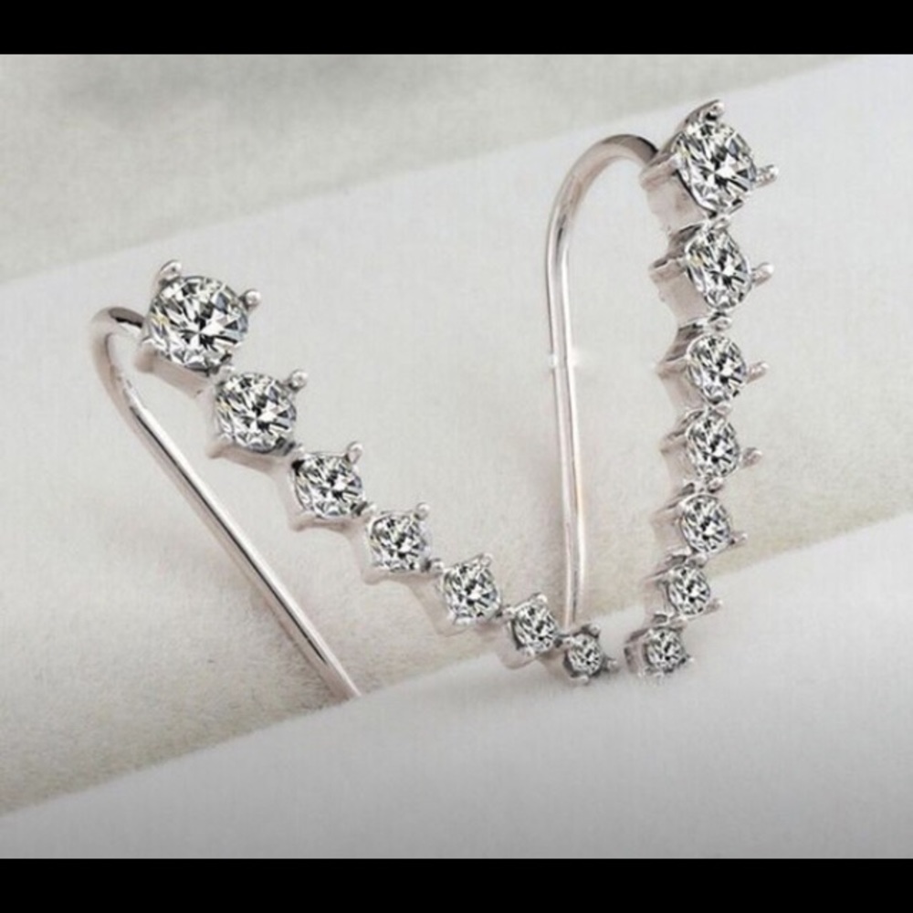 Silver Crystal Inverted Earrings - Picture 3 of 5